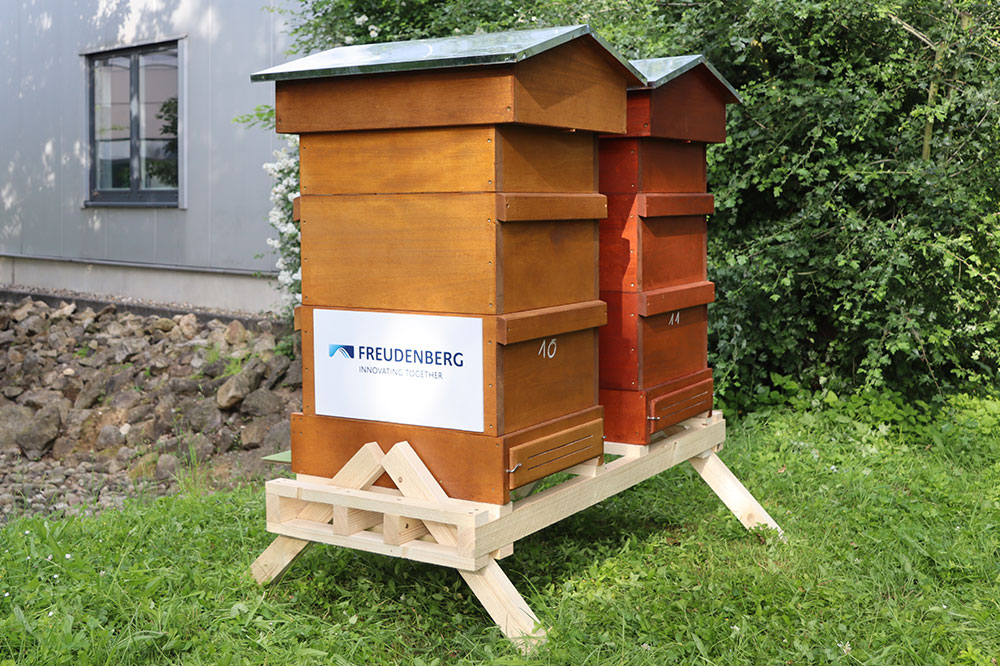 Two beehives, one with signage bearing the Freudenberg logo, stand in the middle of a green garden.