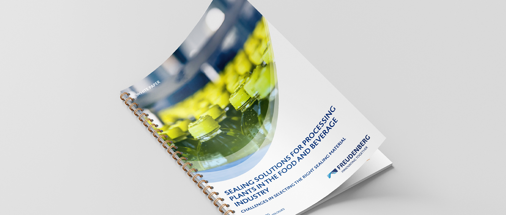 Hygienic Selas Whitepaper cover