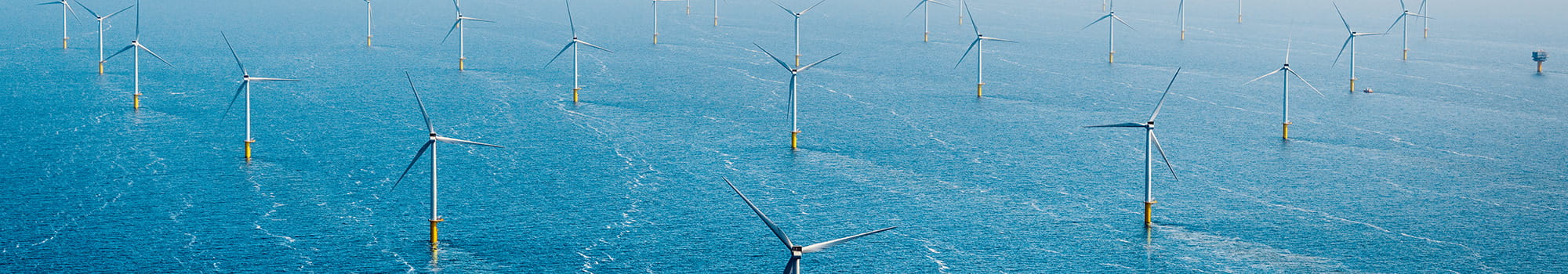 Around twenty wind turbines standing in the sea