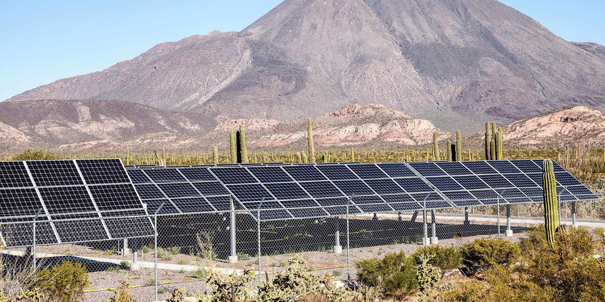 solar panel