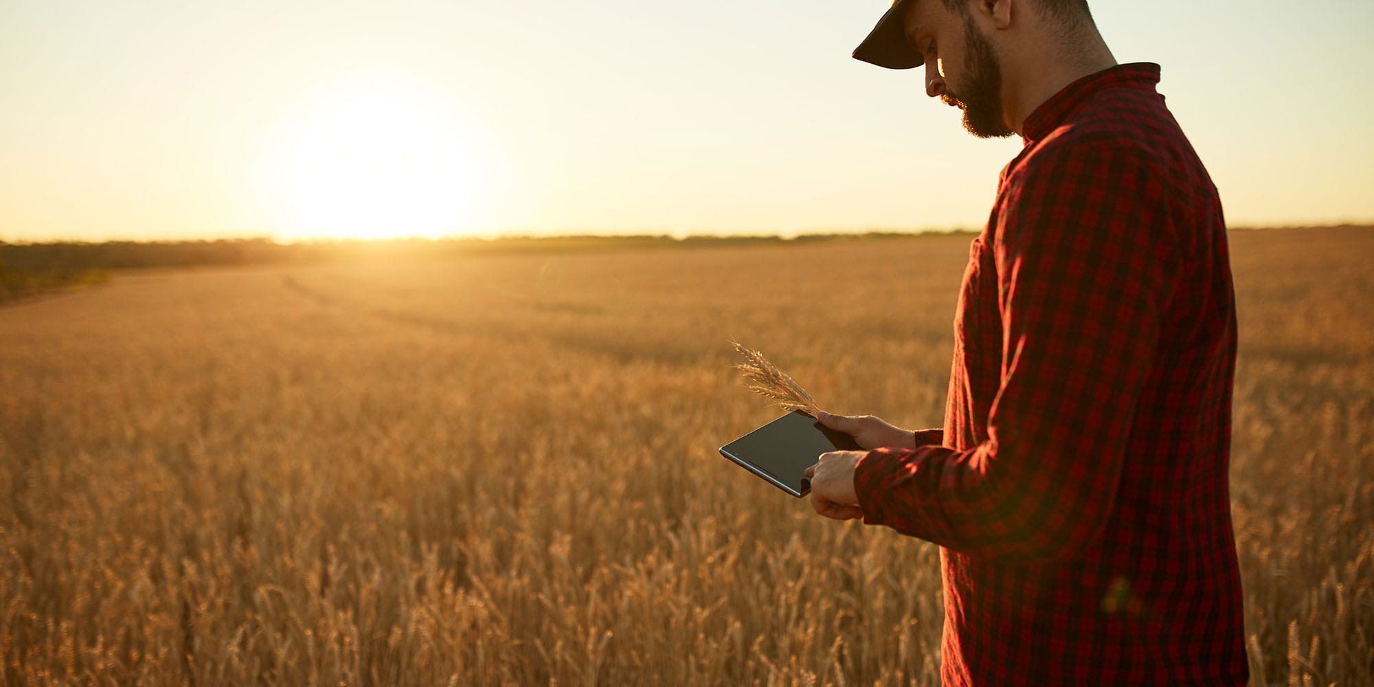 Smart Farming