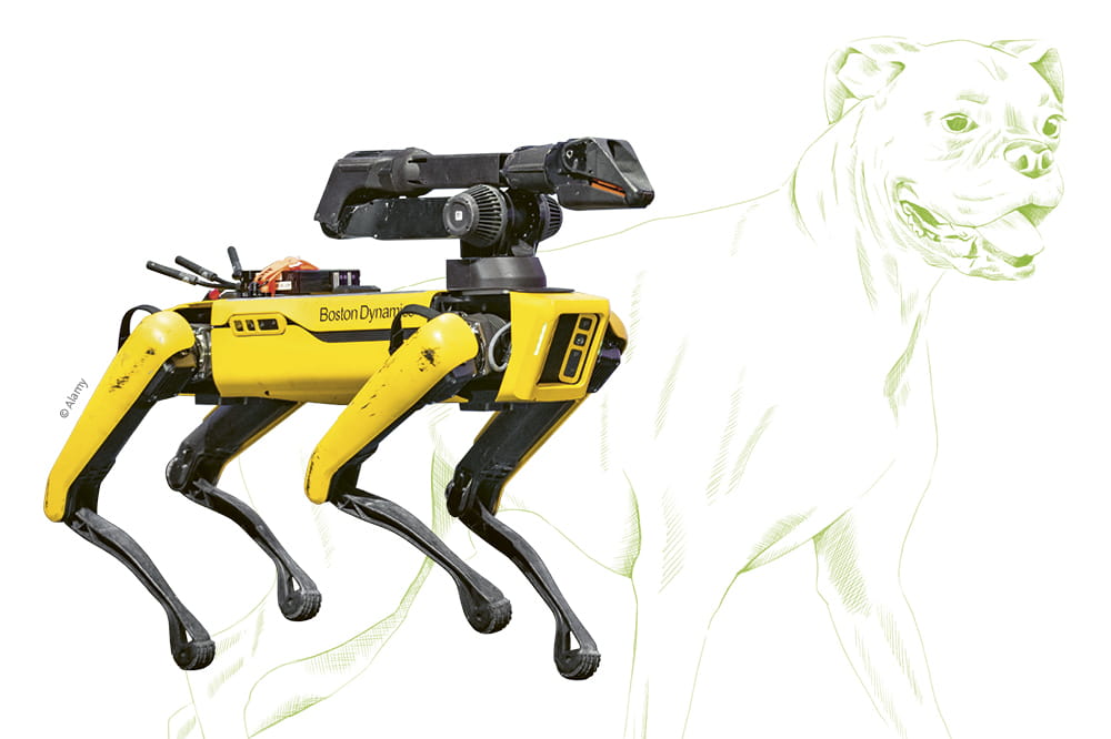 robot dog scott by boston dynamics and illustation of a dog animal. Copyright by  SOPA Images Limited / Alamy Stock Foto