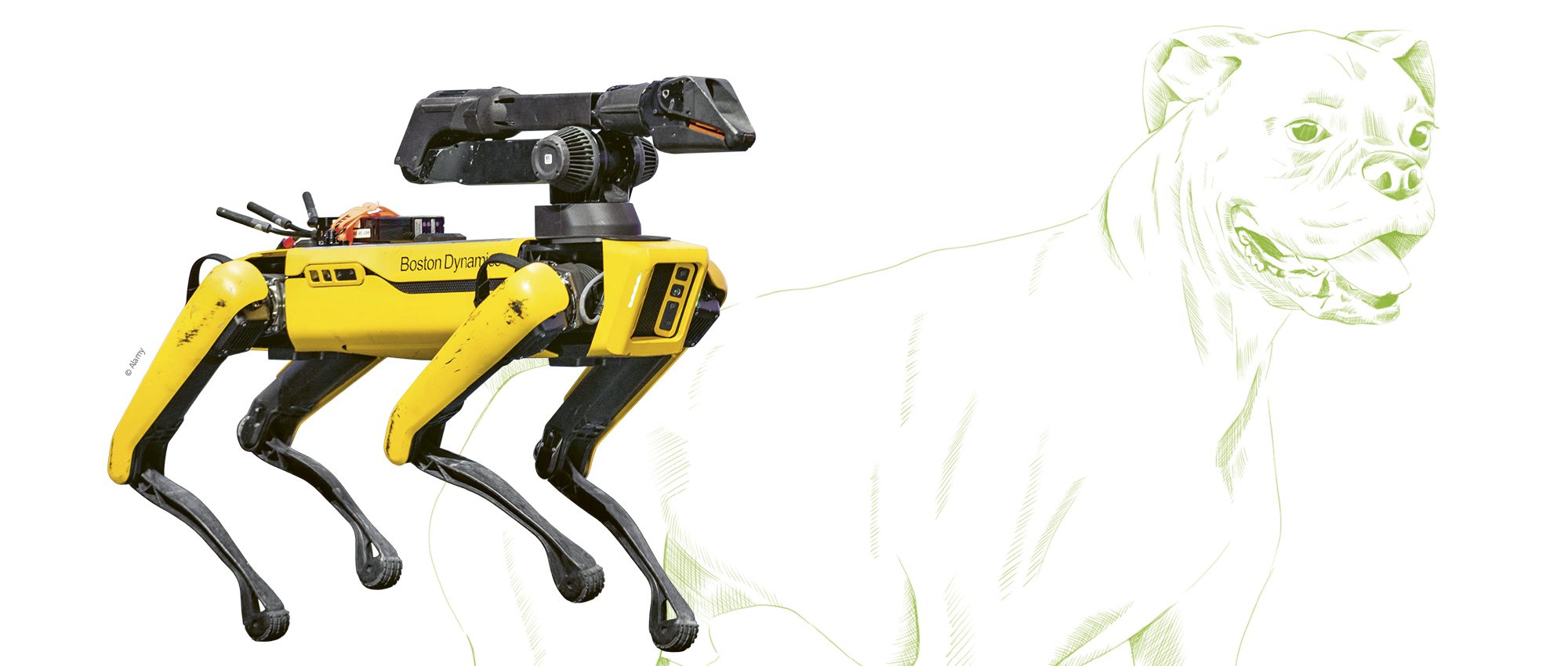 robot dog scott by boston dynamics and illustation of a dog animal. Copyright by SOPA Images Limited / Alamy Stock Foto