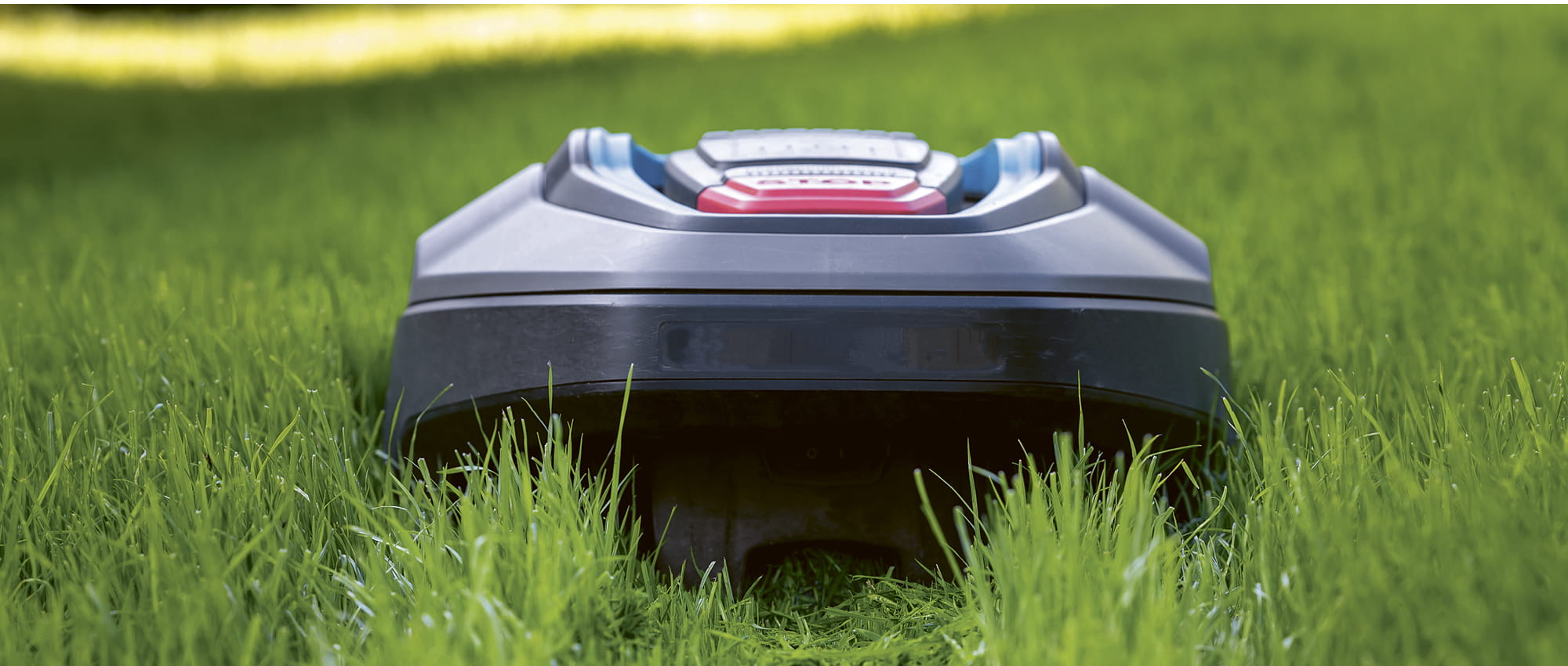 Close-up of a black robotic lawnmower in the grass. Copyright: iStock/Focused