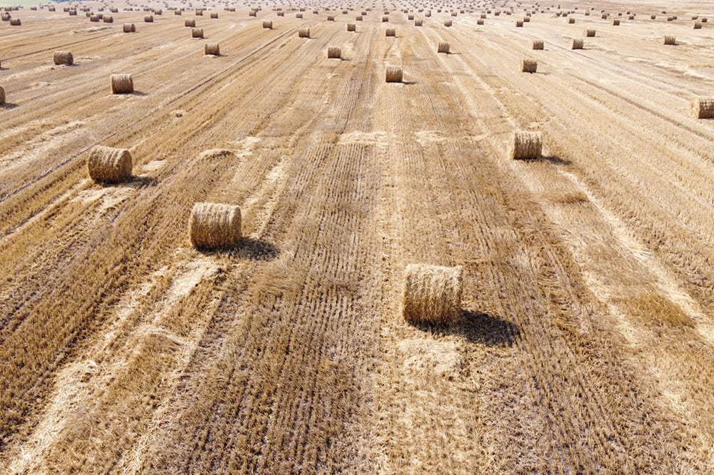 Aerial view of hay bales in a field