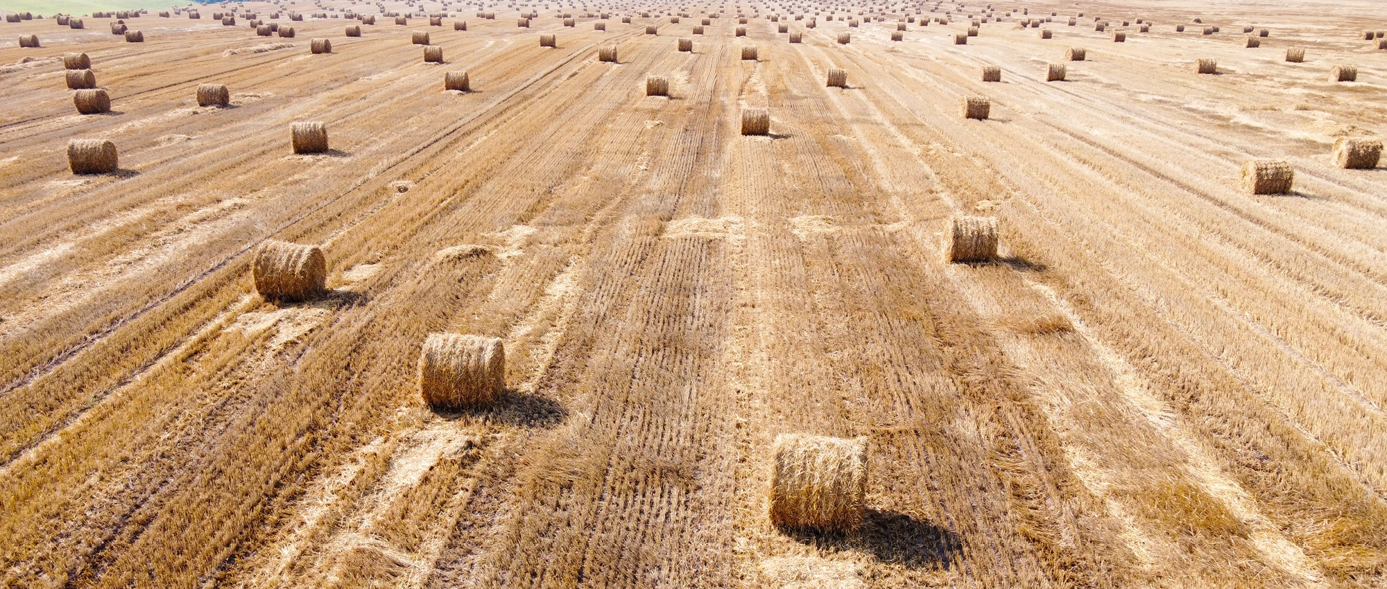 Aerial view of hay bales in a field