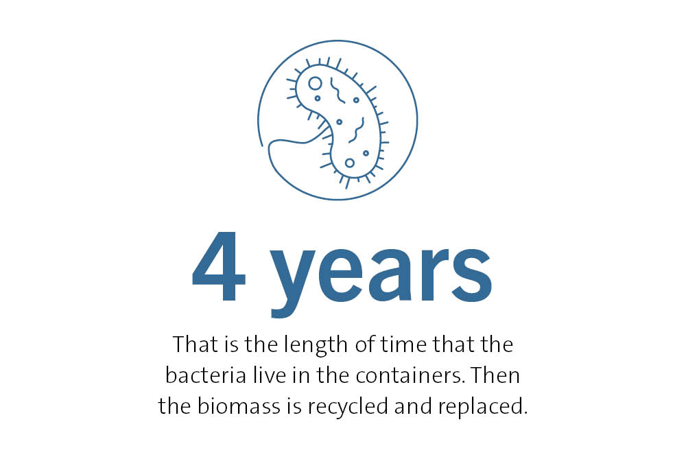 4 years. That is the length of time that the bacteria live in the containers. Then the biomass is recycled and replaced.