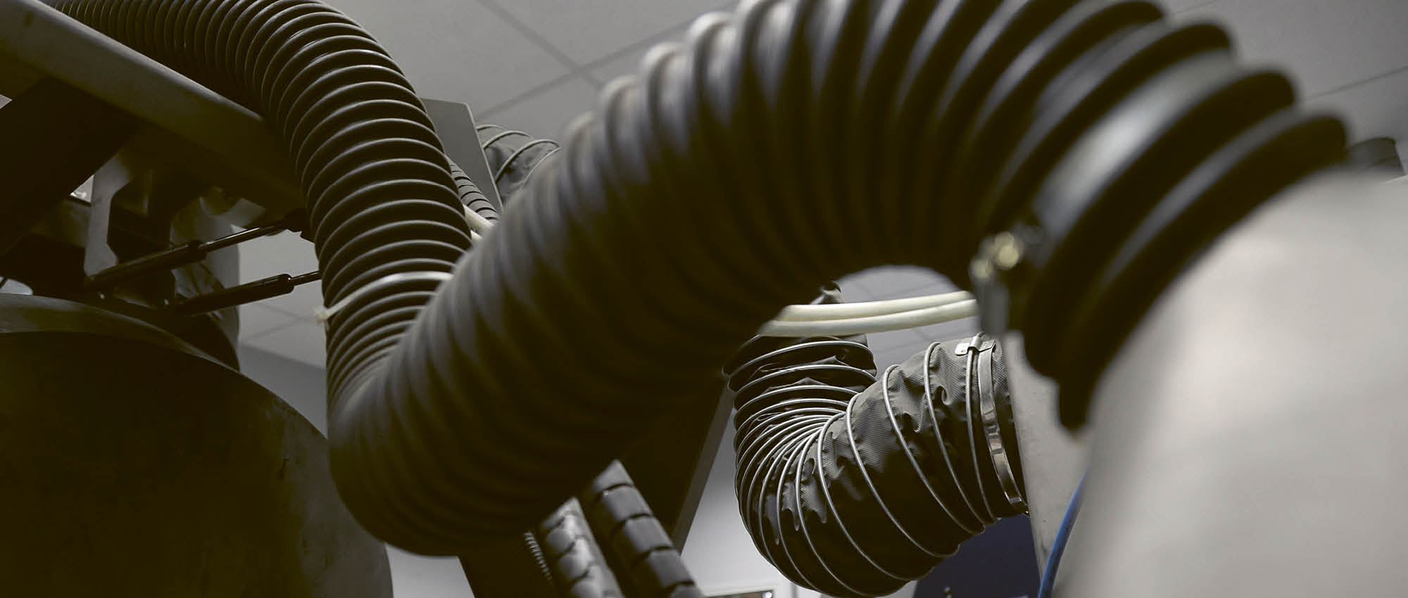 A bacteria devour solvent vapor in the factory.