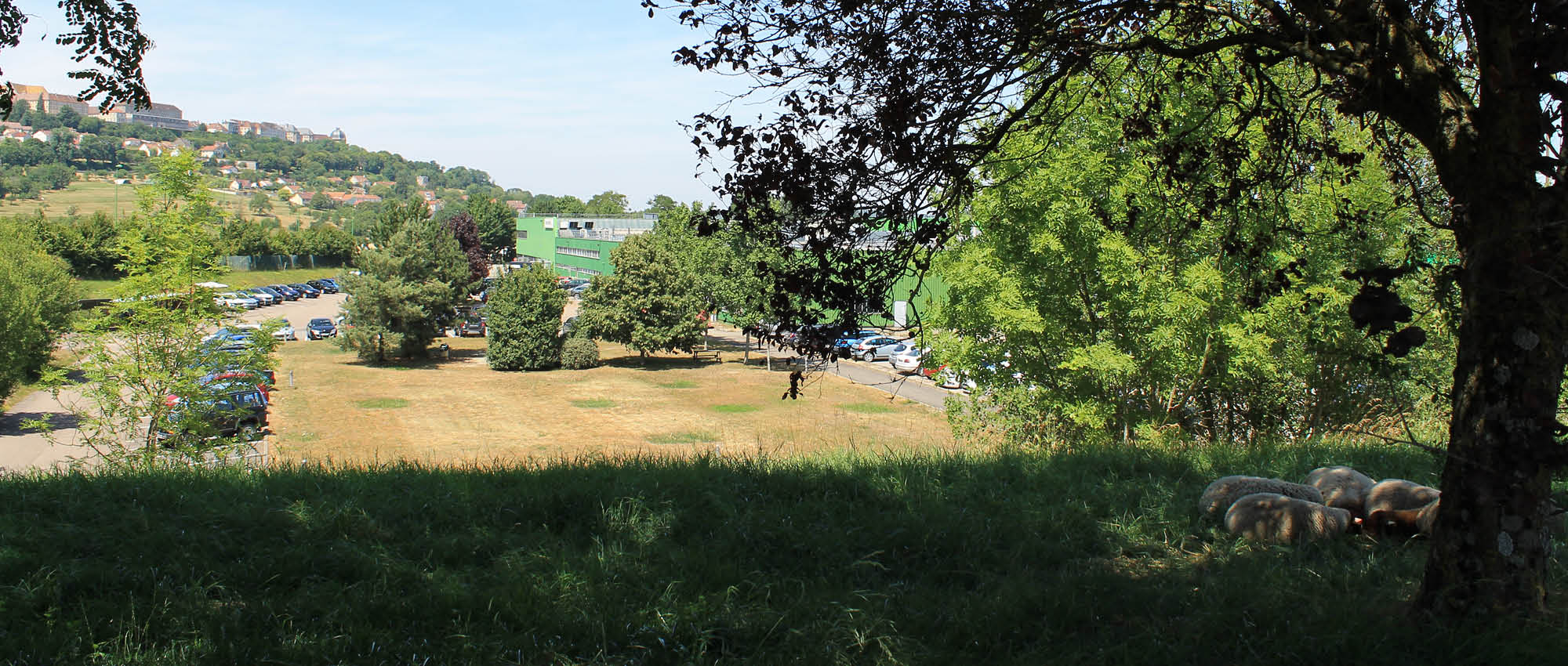 Freudenberg Sealing Technologies plant in Langres with a sheep meadow in front.