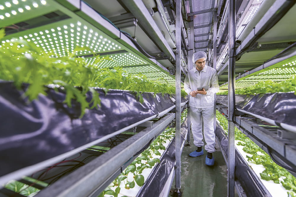 A man in a safety suit walks through a row of plants in a laboratory. 