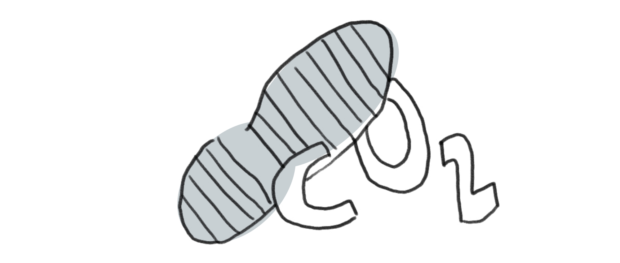 Illustration of a shoe print and the lettering CO2.