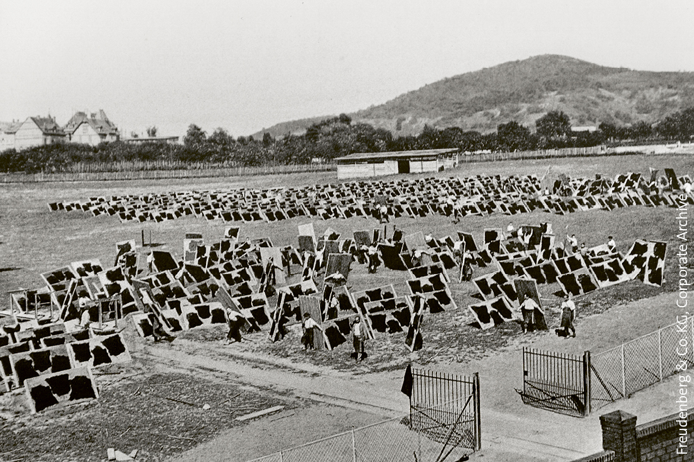 Black and white picture of patent leather that dries in the sun on a meadow at a Freudenberg site. 