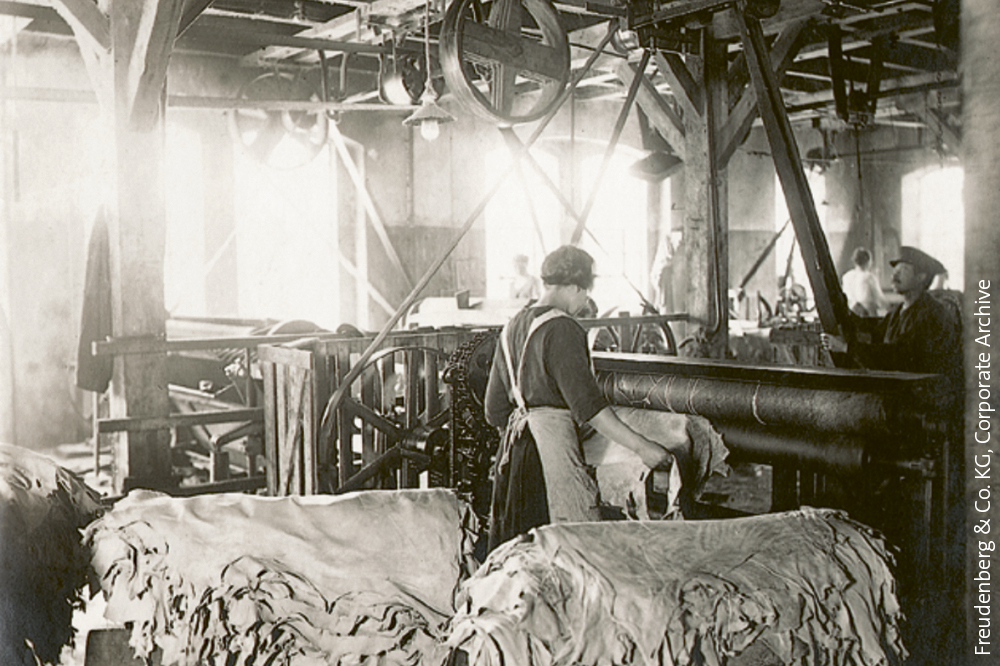 Black and white picture of a cowshed in the 1950s.