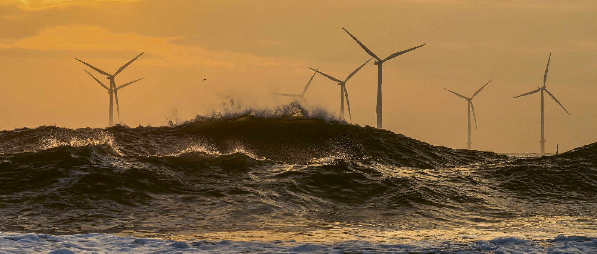 Sunset by the sea with windmills behind the waves.