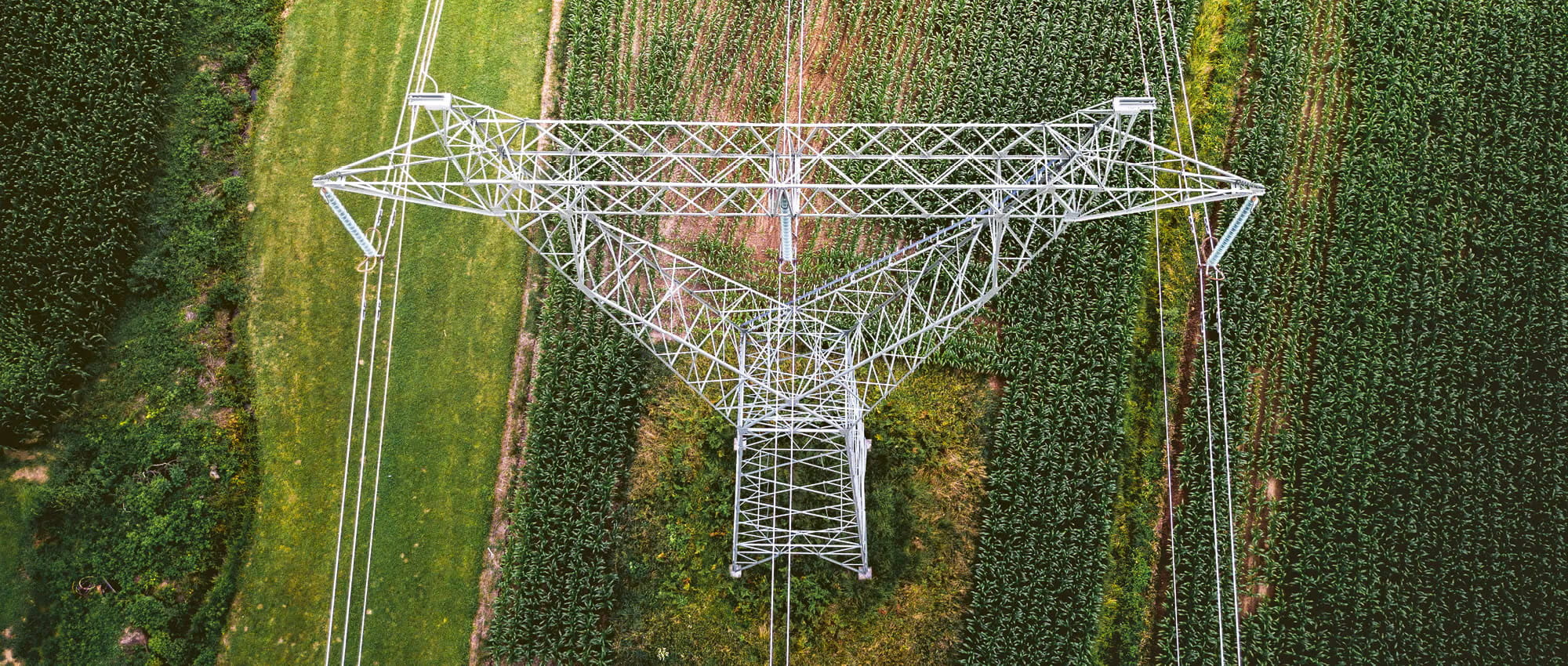 Overhead line mast in a green field. Copyright: iStock/Nejc Gostincar