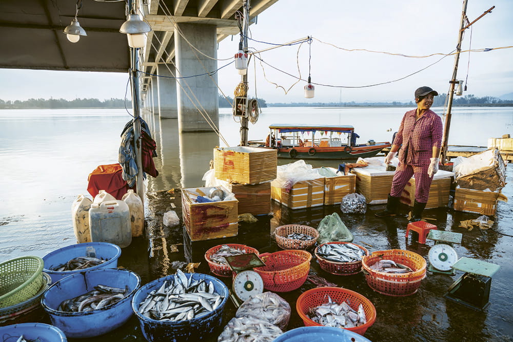 A women is standing next to buckets of fish. Copyright: iStock/Nikada