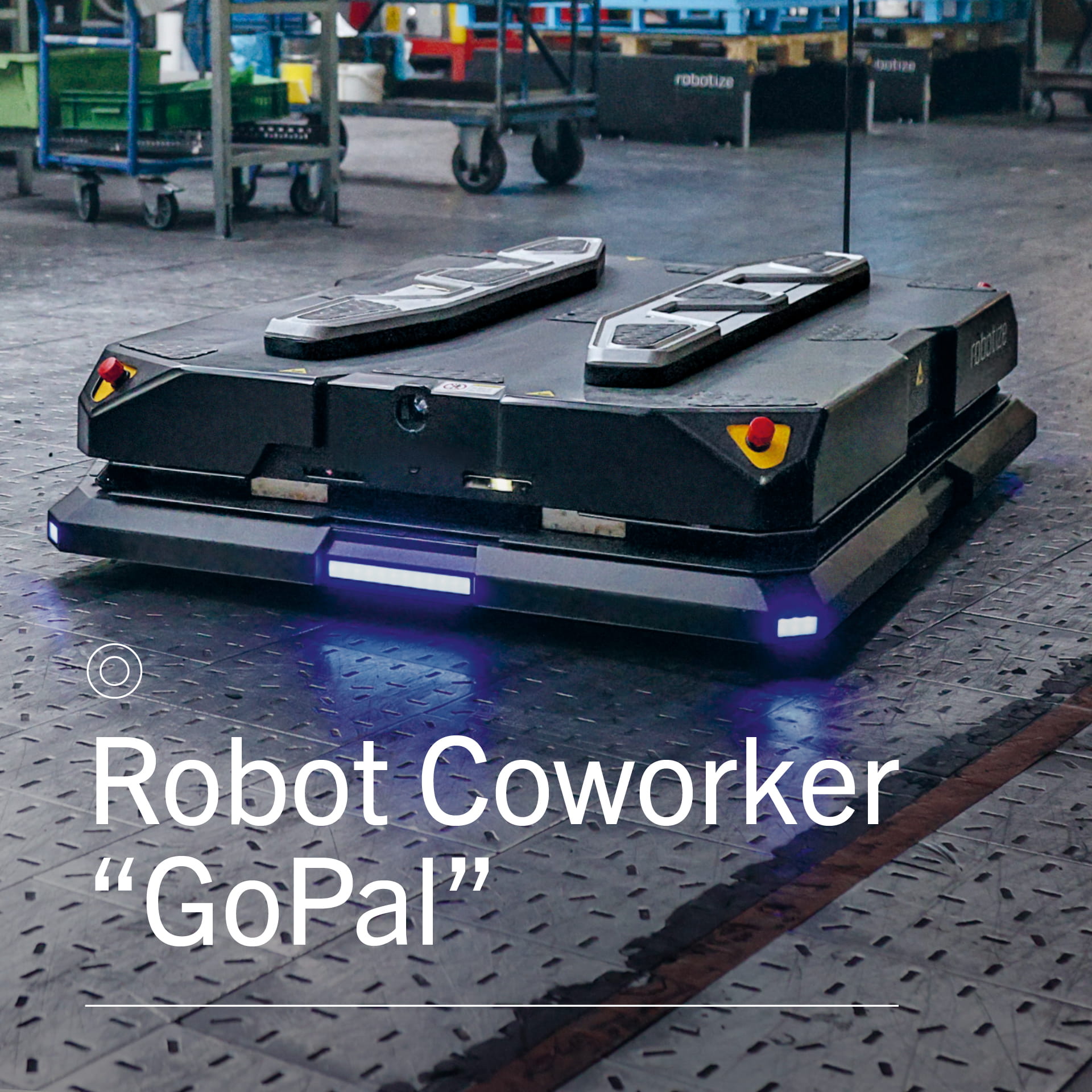 Autonomous Robots
