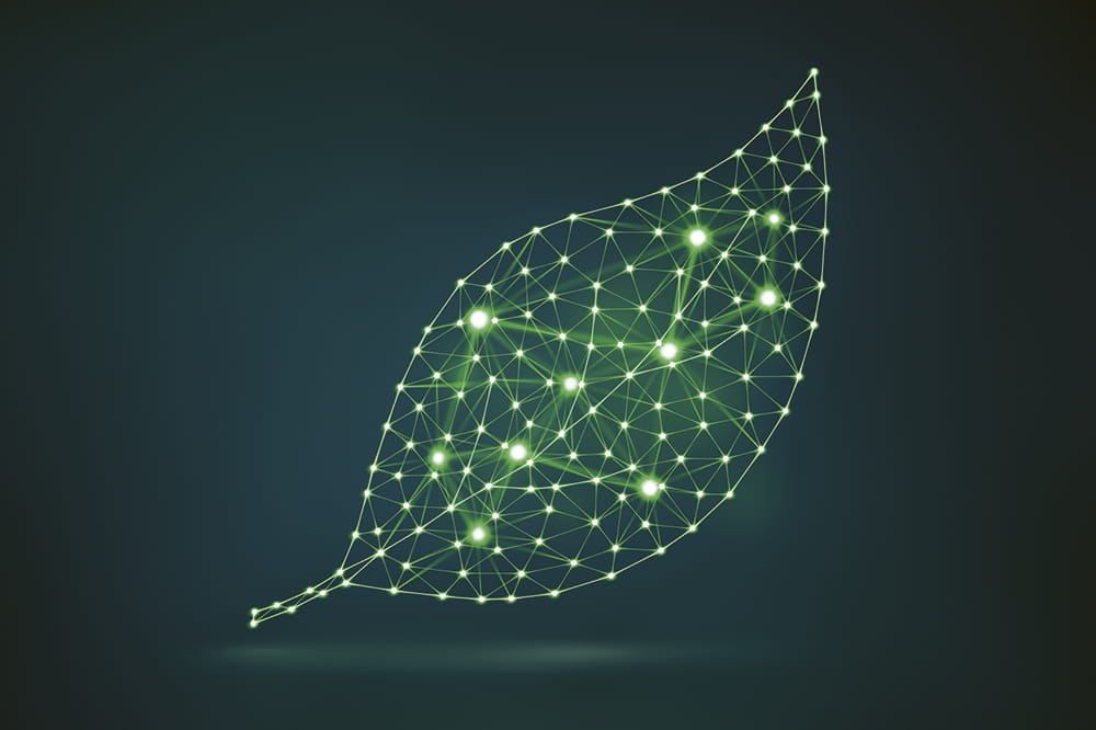 Illustration of a leaf made out of green neon lines. Copyright: iStock/synthetick