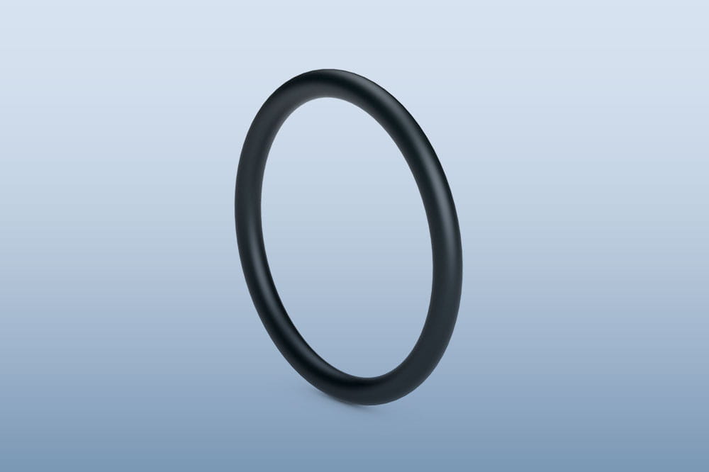 O-Ring