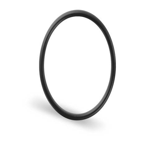 ChemXT sealing ring from FST against white background