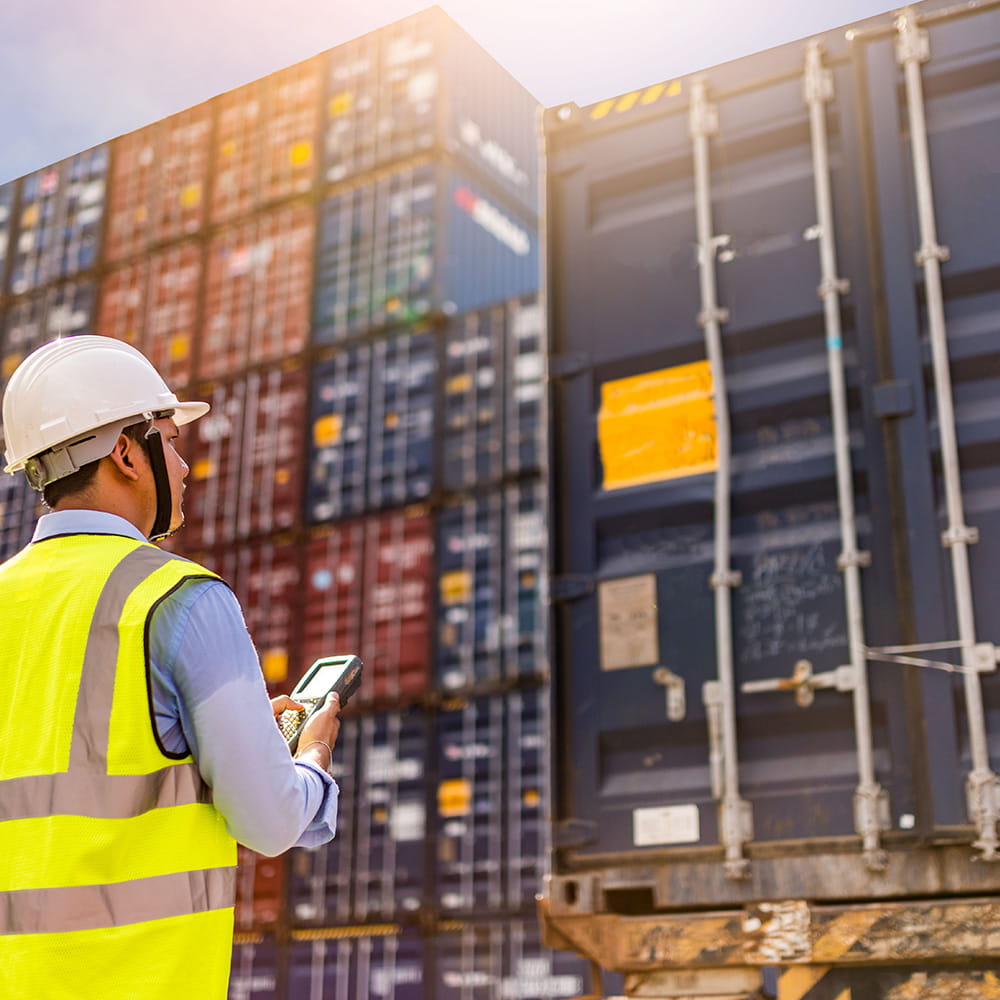 Man with safety vest and helmet checks container cargo