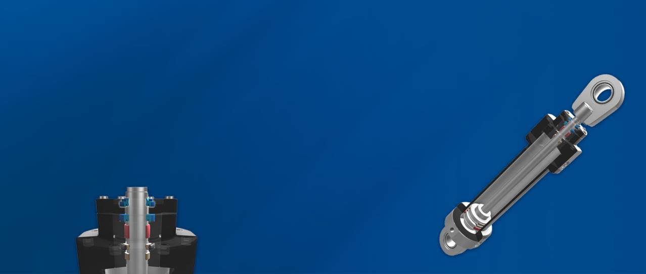 PTFE Piston Rings, Teflon Seal, Merkel Chevron, Polyurethane