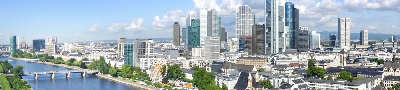 Trainee Programm