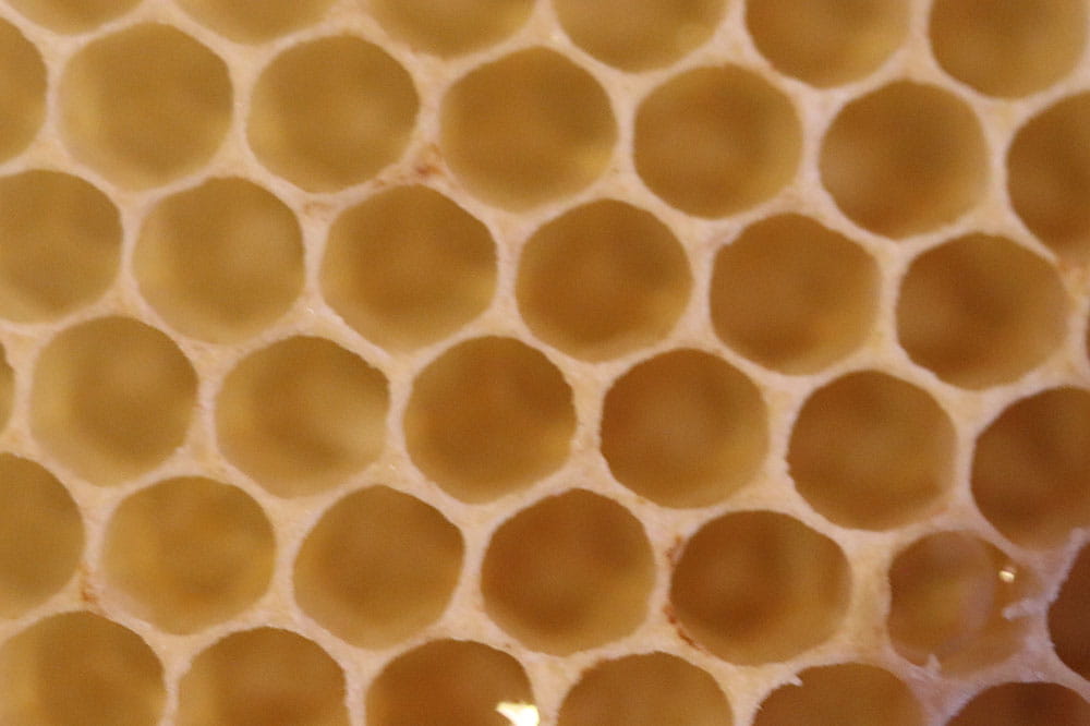 Nahaufname von Bienenwaben in verschiedenen Orangetönen.