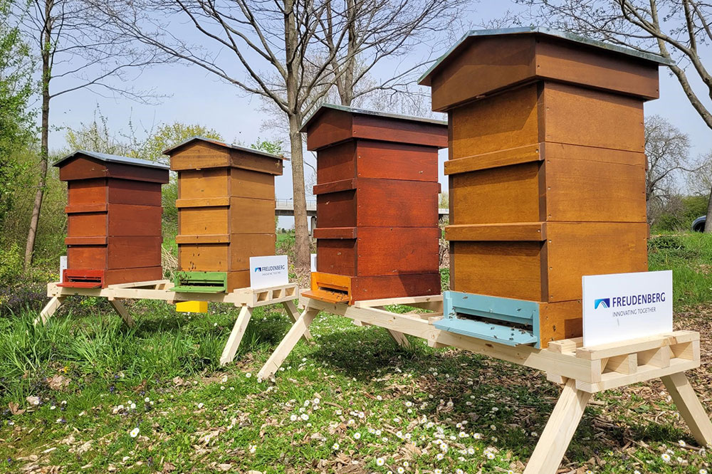 Vier Bienenstöcke, mit Beschilderung mit Freudenberg Logo, stehen inmitten eines grünen Gartens.