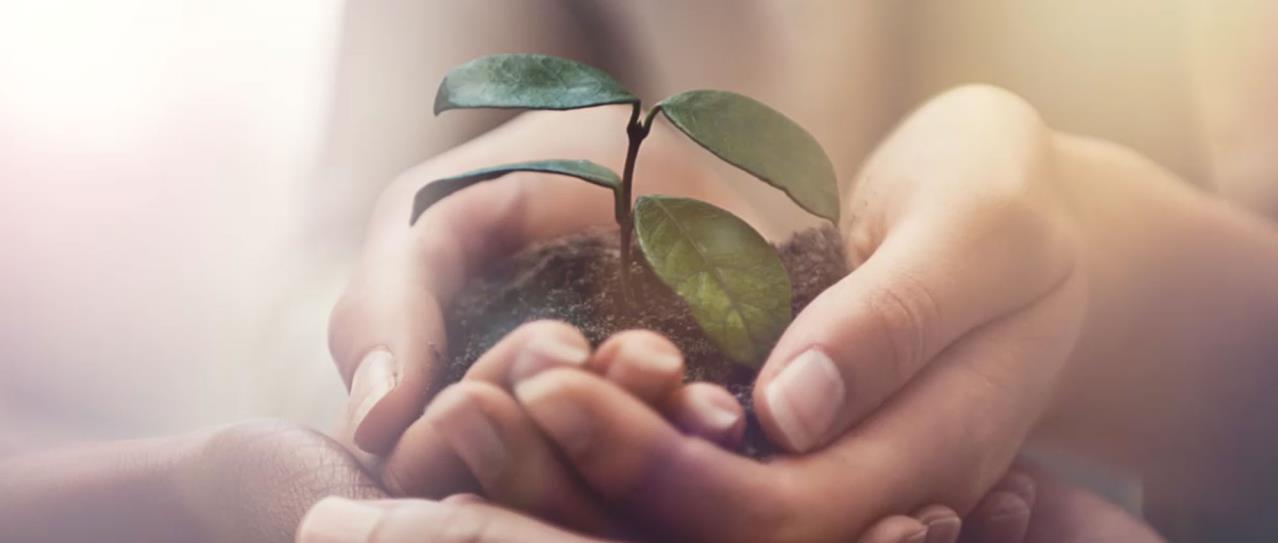 Sustainability