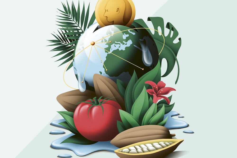 Earth and Fruit