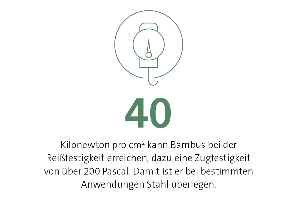 40 Kilonewton pro cm2 kann Bambus bei der Reißfestigkeit erreichen, dazu eine Zugfestigkeit von über 200 Pascal. 