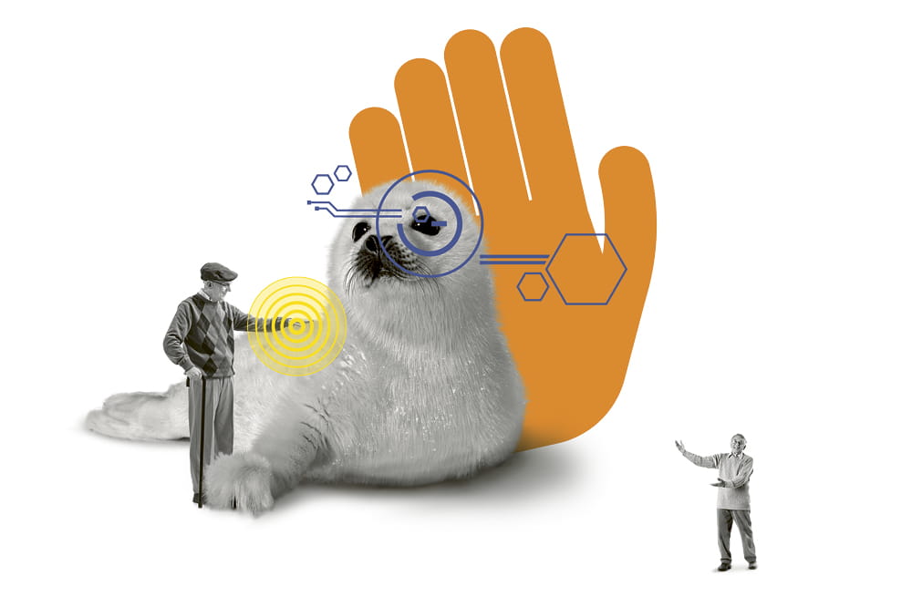 Illustration eines Robbenbabies, dass von einem älteren Mann, der halb so groß ist, gestreichelt wird mit einer illustrierten orangenen Hand im Hintergrund. 