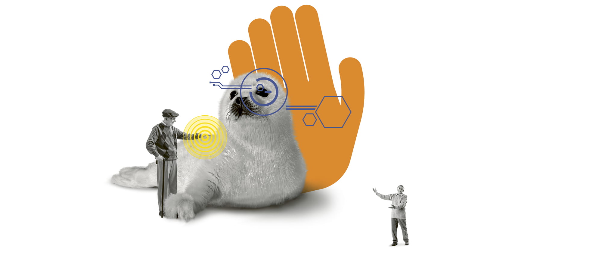 Illustration eines Robbenbabies, dass von einem älteren Mann, der halb so groß ist, gestreichelt wird mit einer illustrierten orangenen Hand im Hintergrund. 