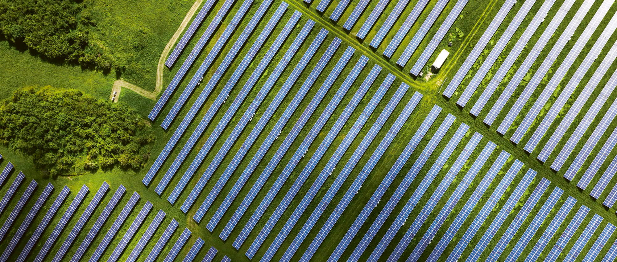 Solarpanelfeld von oben. Copyright: iStock/Nikada