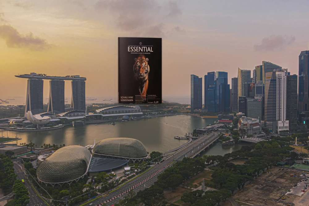 Singapur Skyline mit ESSENTIAL Magazin am Horizont