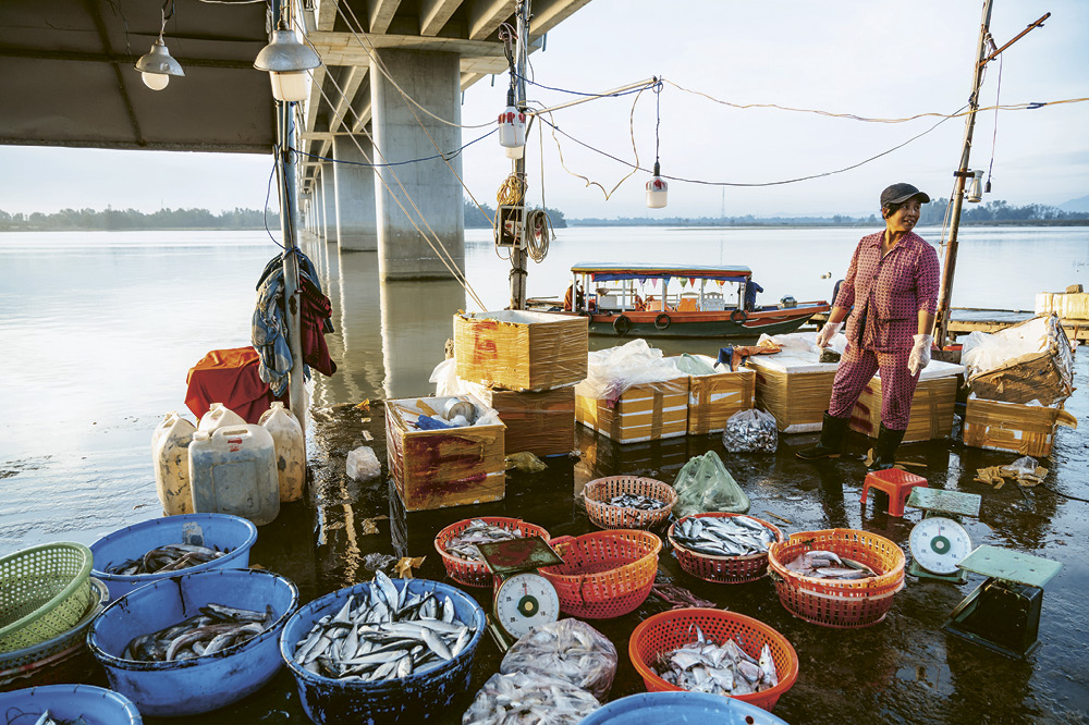 Eine Frau steht neben Eimern voller Fisch. Copyright: iStock/Nikada