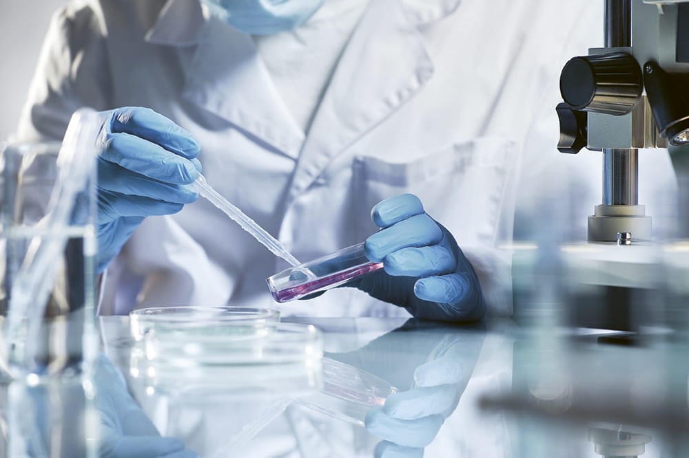 Hände mit blauen Gummihandschuhen ziehen mit einer Pipette eine lila Flüssigkeit aus einem Reagenzglas. 