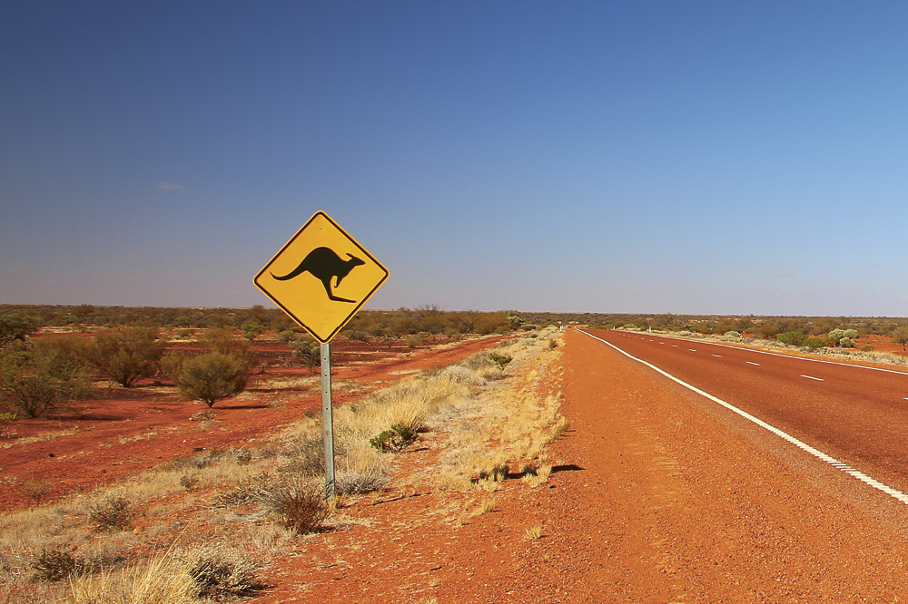 Eine Straße im Australischen Outback und ein gelbes Schild mit einem schwarzen Känguru. Copyright: iStock/Totajla