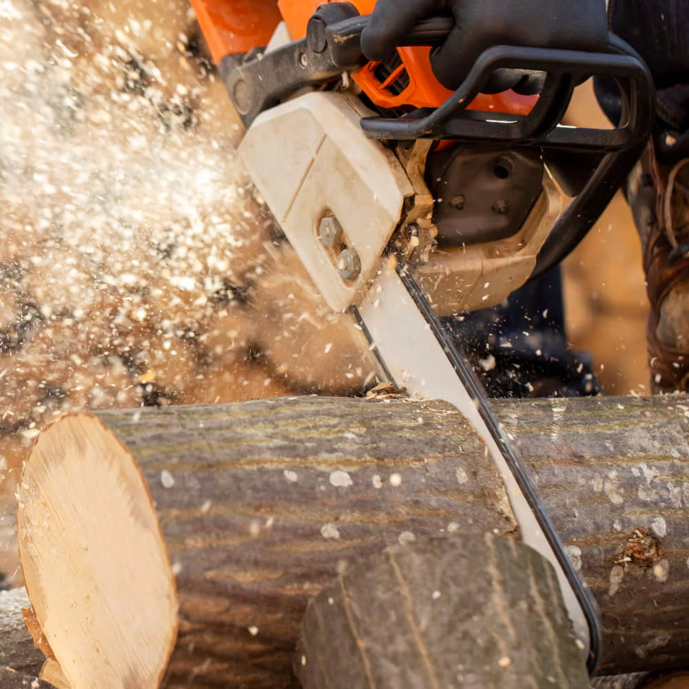 Nahaufnahme einer Kettensäge beim Schneiden eines Holzstammes